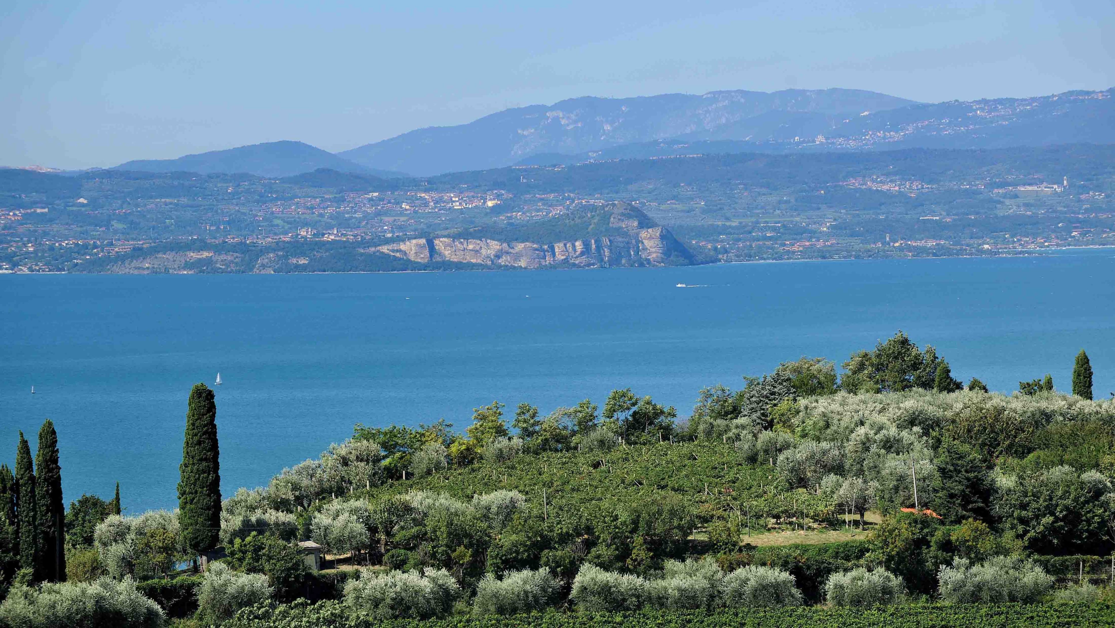 vigneti_bardolino_lago_alta