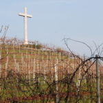 Il colle dedicato a Santa Lucia a Breganze con i vigneti di Firmino Miotti