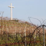 Il colle dedicato a Santa Lucia a Breganze con i vigneti di Firmino Miotti